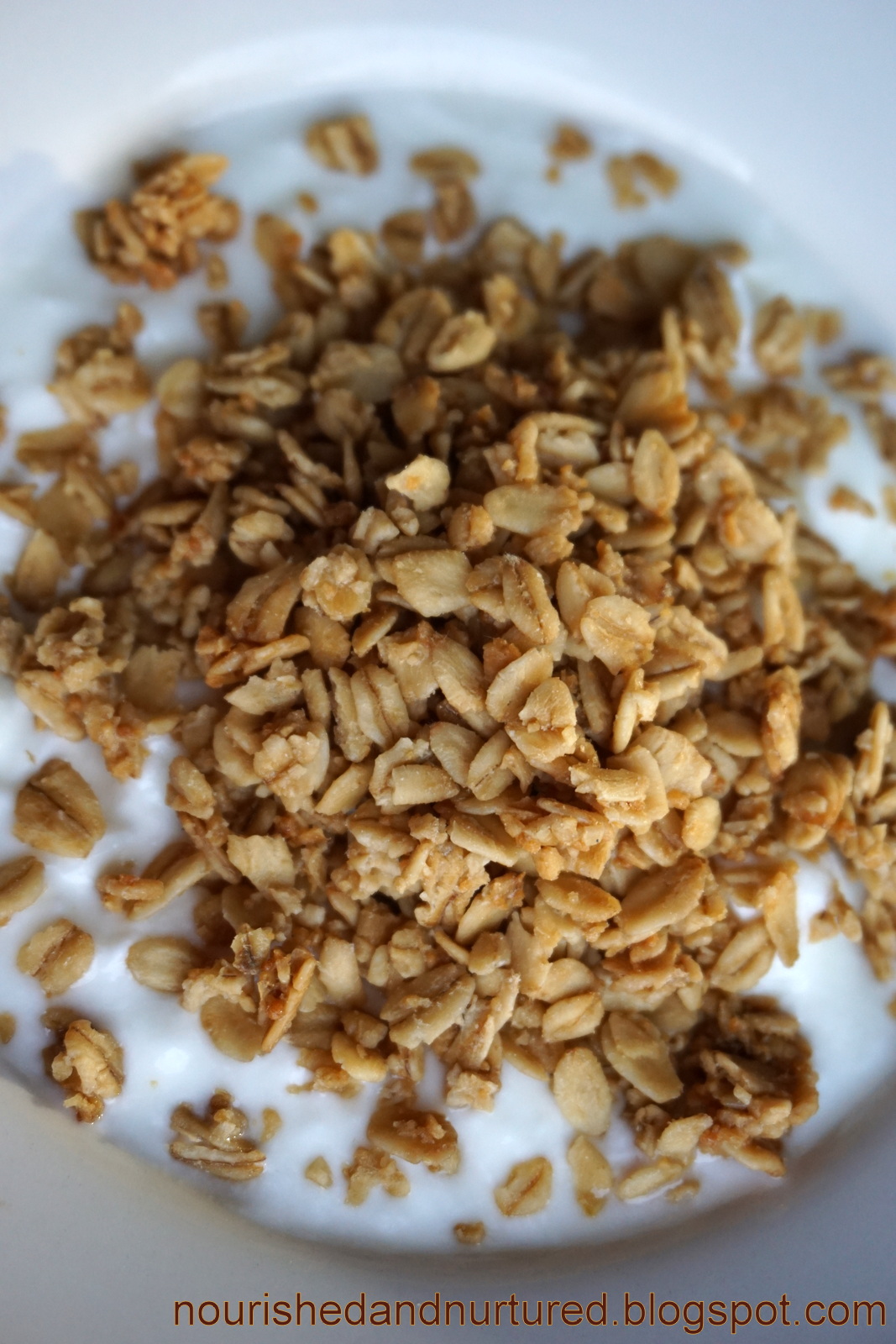 Nourished and Nurtured Maple Brown Sugar Granola (glutenfree)