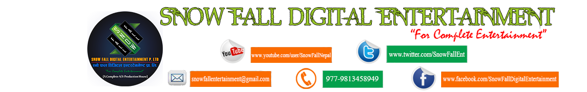 Snow Fall Digital Entertainment