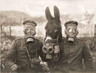 Jerries&Mule.jpg