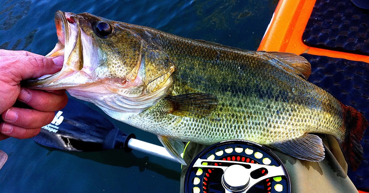 FLY FISHING TEXAS A Day Of Firsts