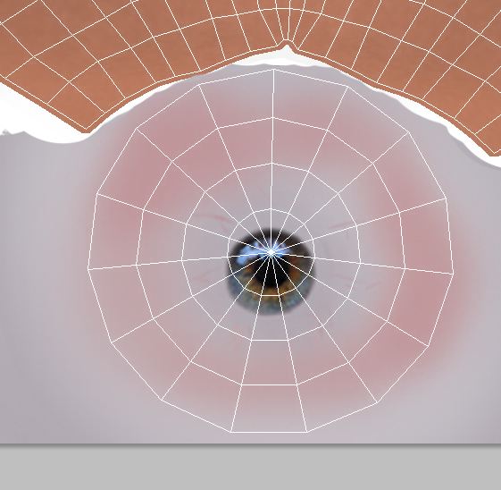 eye2.JPG