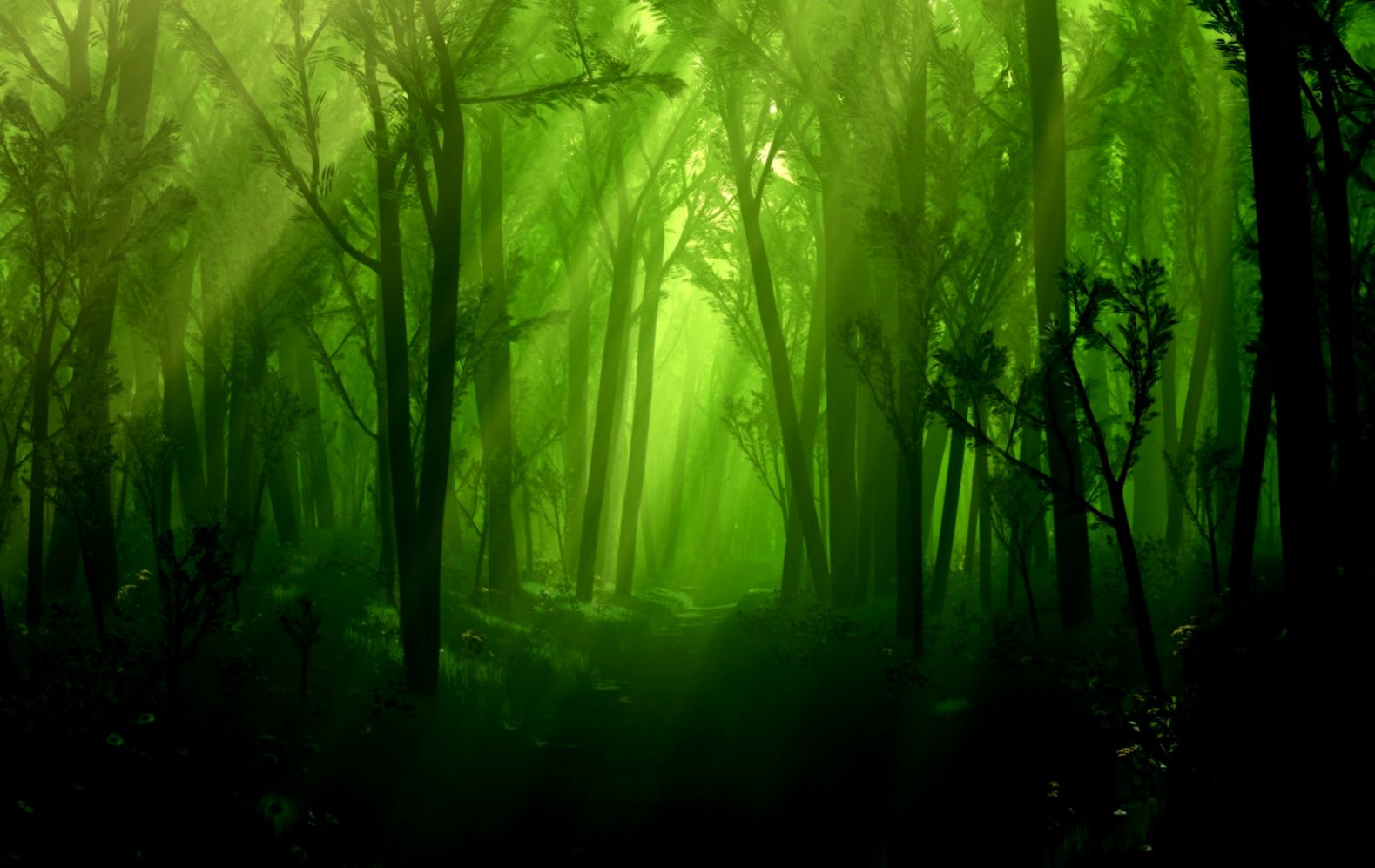 1680x1050 Dark enchanted forest Wallpaper 1680x1050 Dark enchanted forest Wallpaper