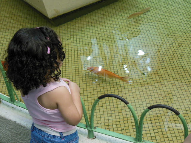 Menina olha um peixe/Foto: Marcelo Migliaccio