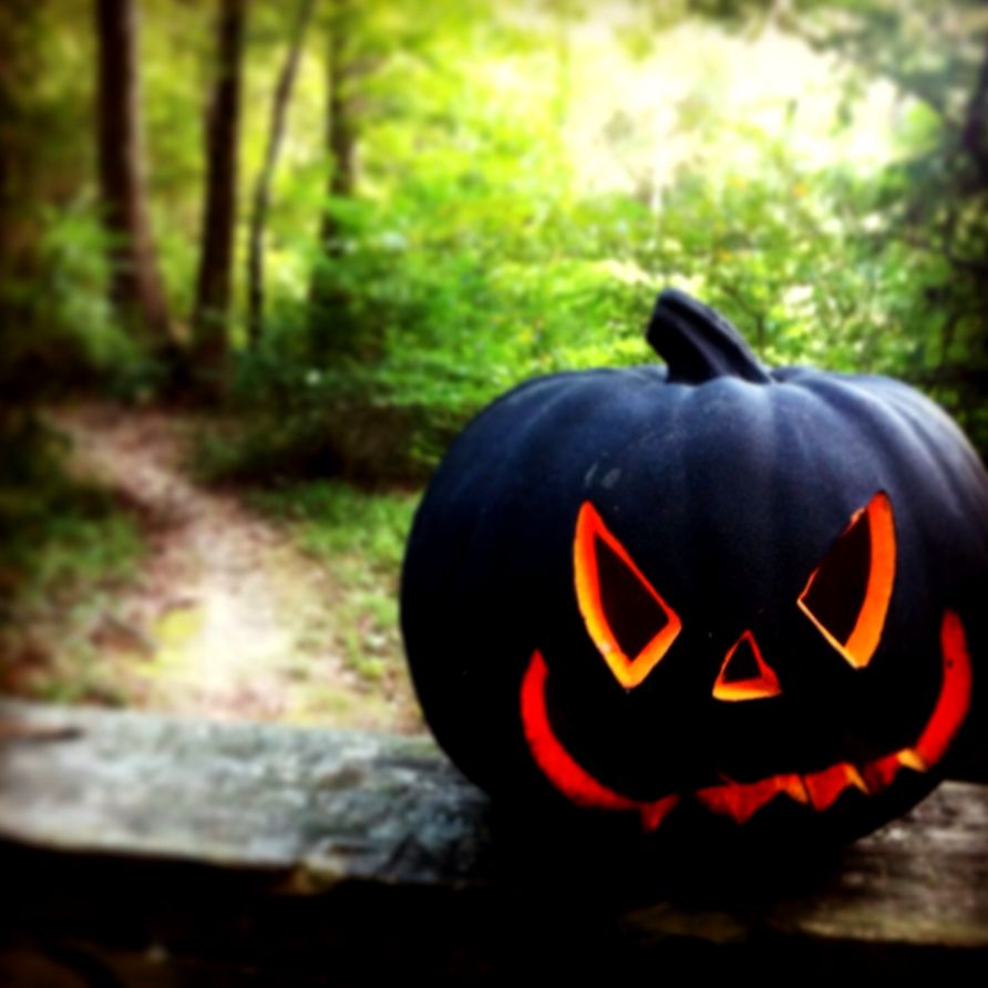 October Featured Trail Spooky Nights Haunted Trail  Mid South October Featured Trail Spooky Nights Haunted Trail  Mid South