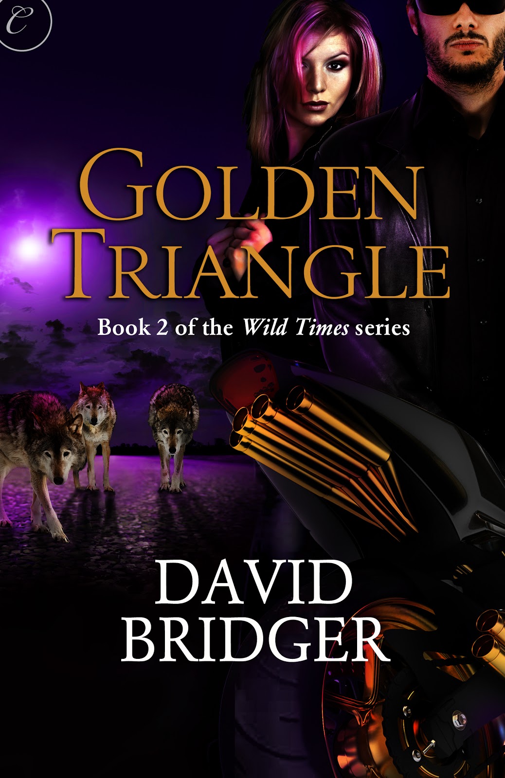 David Bridger