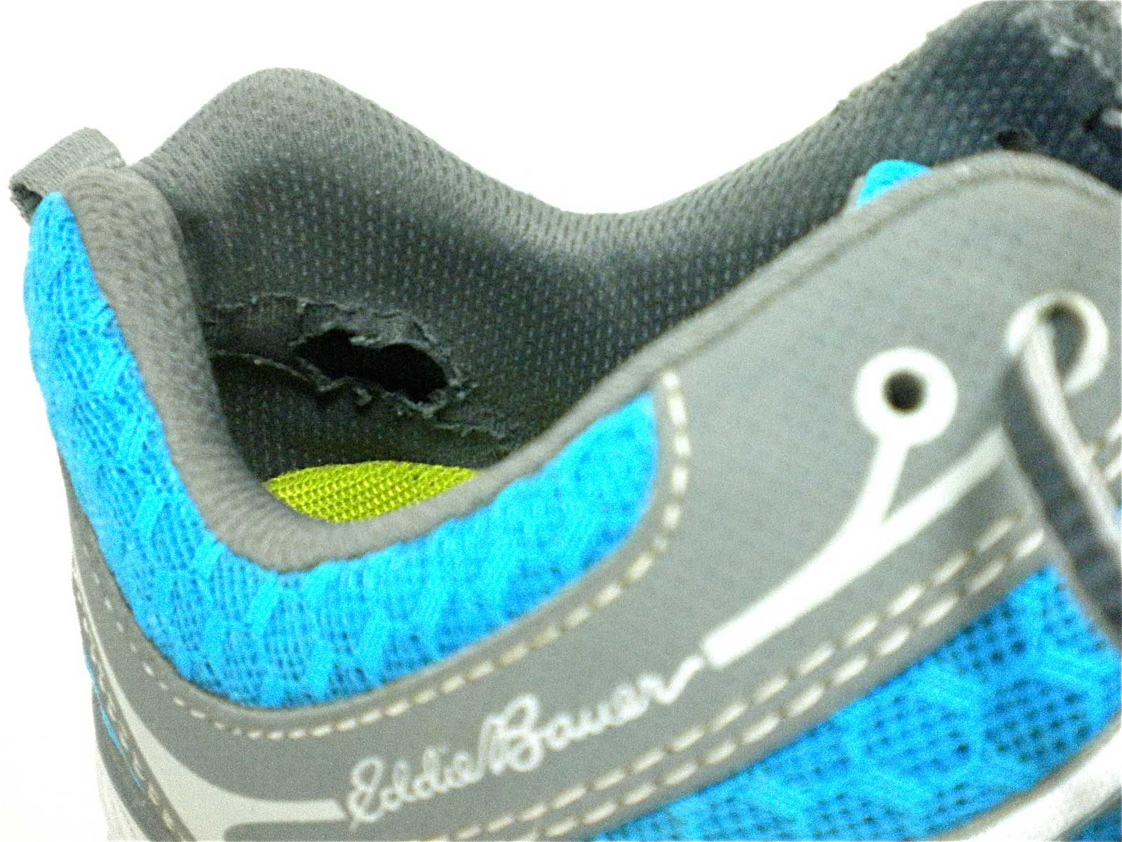 Family Tree How to care for feet, prevent blisters and