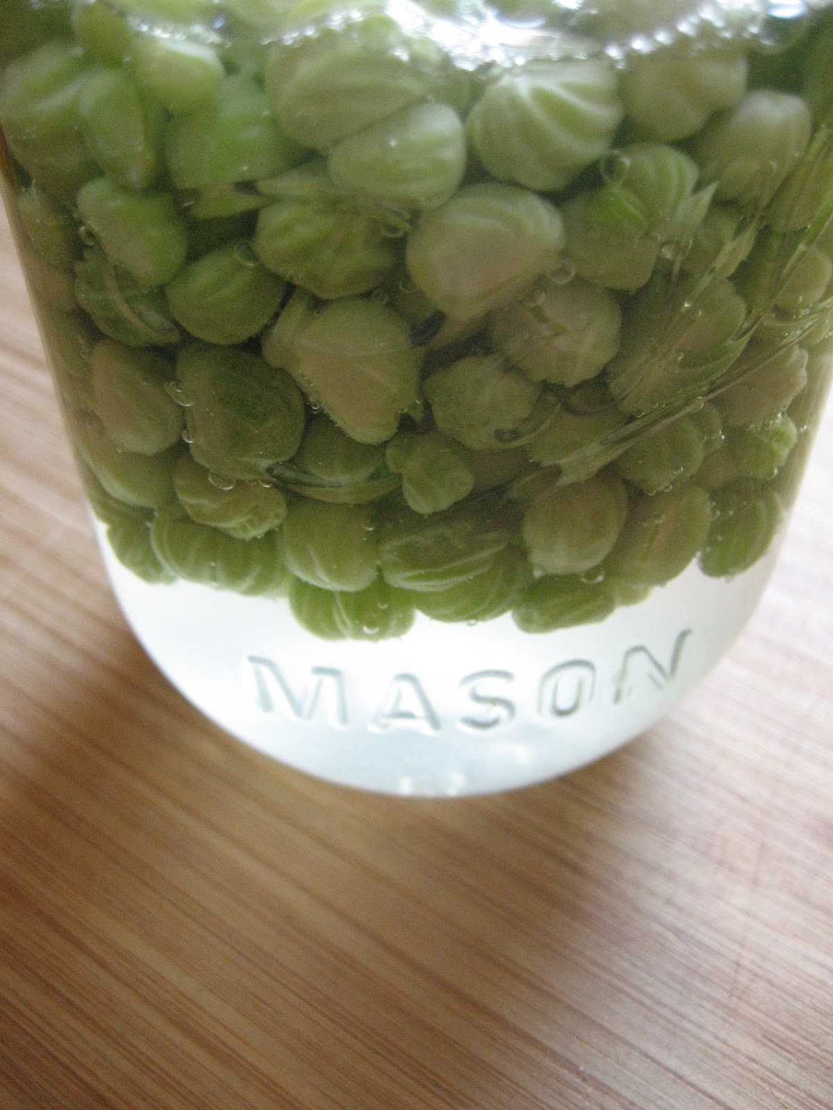 Homemade Trade Backyard Harvest Pickling Nasturtium Capers