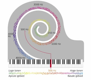 Wat is een ci+ module slot Wat is een ci+ module slot