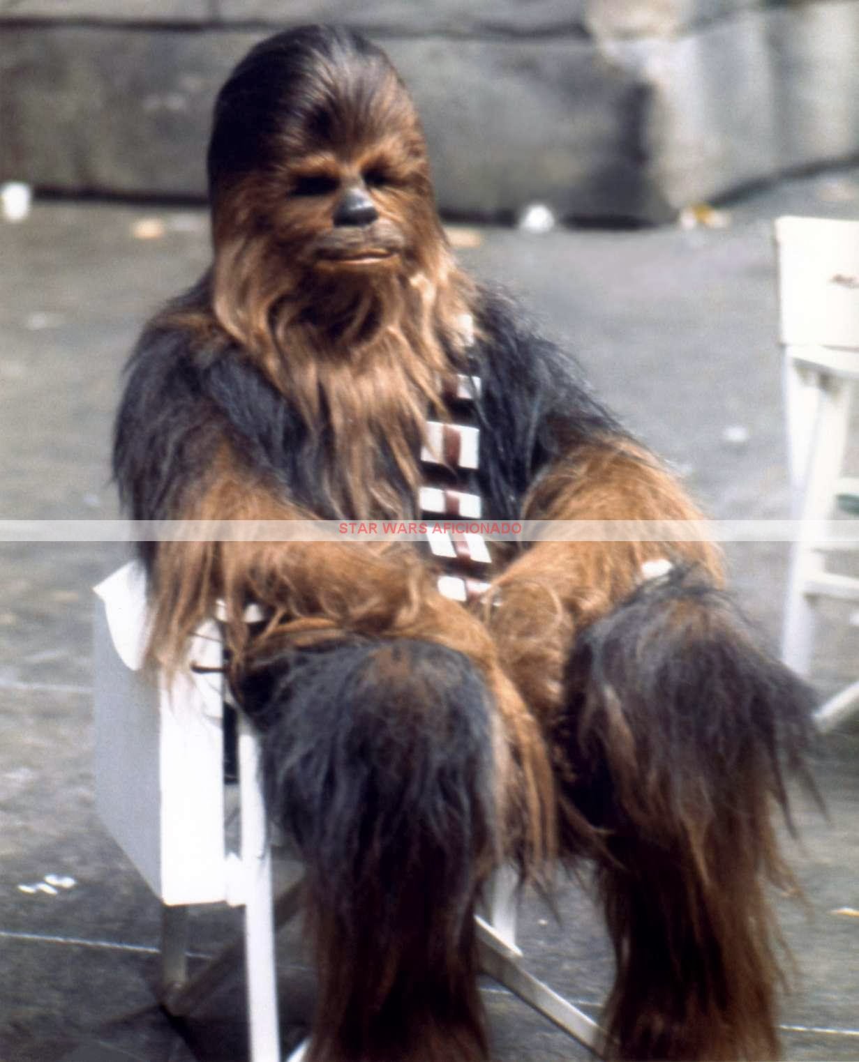 wookiee adidas