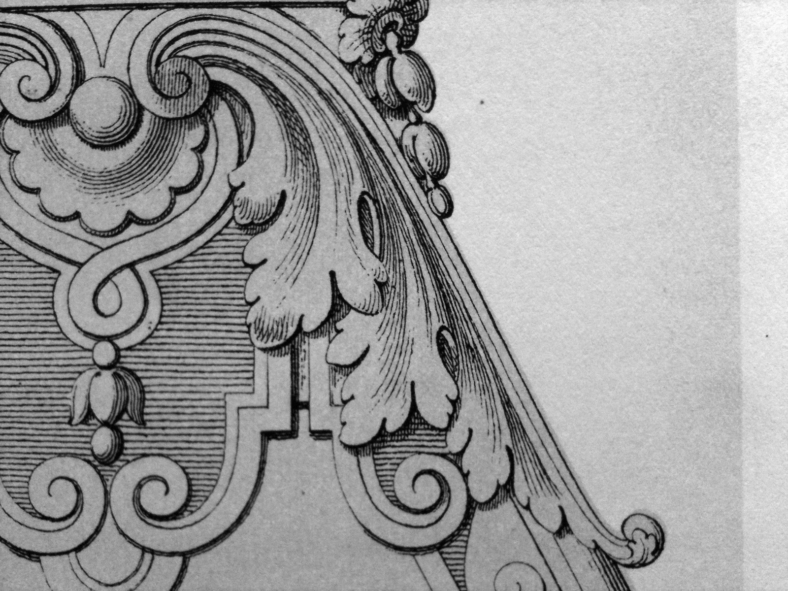 surface fragments Ornament Drawings