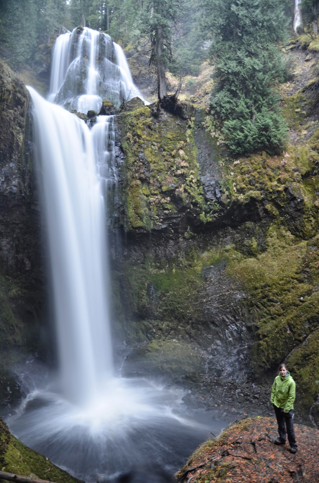 The Life and Travels of The Ellingers Ape Cave & Lower Falls Creek
