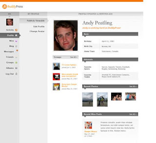 Cara membuat social network dengan wordpress Cara membuat social network dengan wordpress