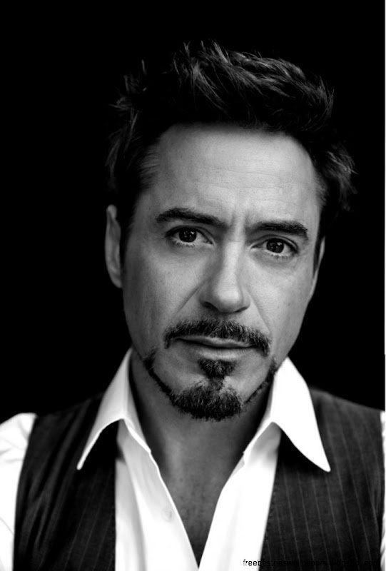 Robert Downey Jr The California Museum Robert Downey Jr The California Museum