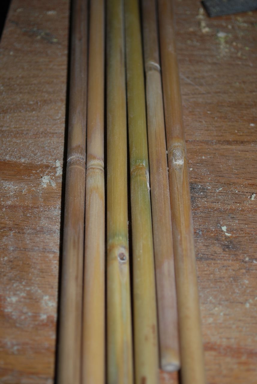 Bamboo Arrows Bamboo Craft Photo