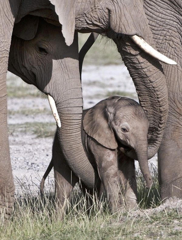 surrounded by love Express Photos