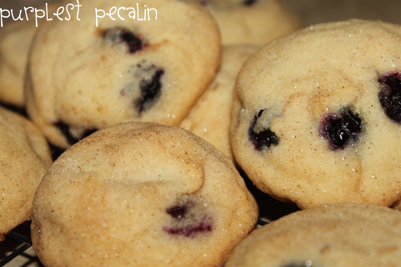 Blueberry Cookies