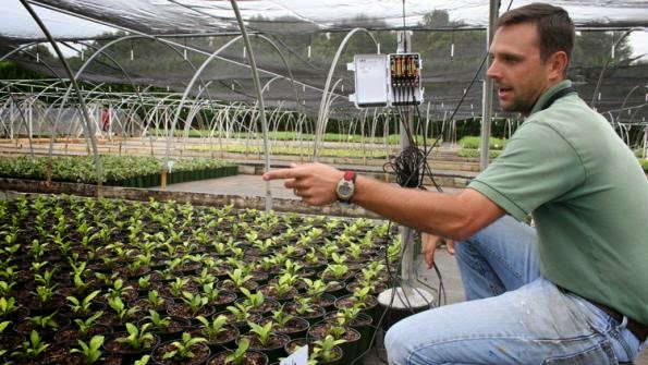 Công nghệ cảm biến độ ẩm kết hợp hệ thống tưới tự động