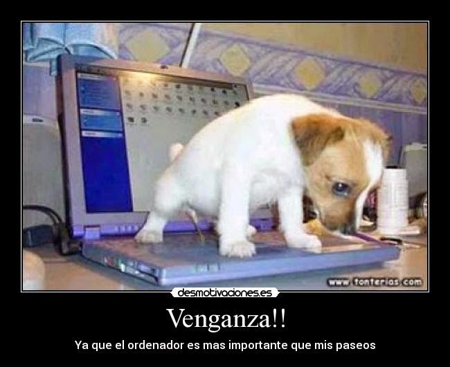 Imagenes chistosas de animales con frases chistosas - fotos de animales con frases chistosas