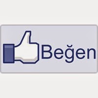 Facebook Like Buton