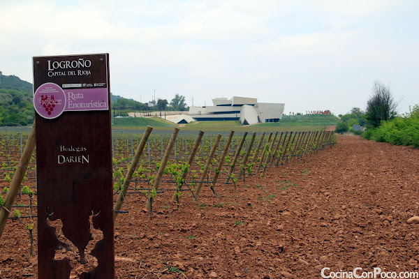 Mejor Bodeguero Mundo - Rioja Mejor Bodeguero Mundo - Rioja