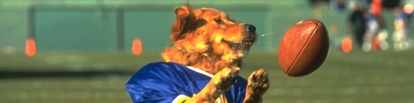 he 1997 movie Air Bud, featurin...