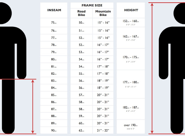 large frame bike size