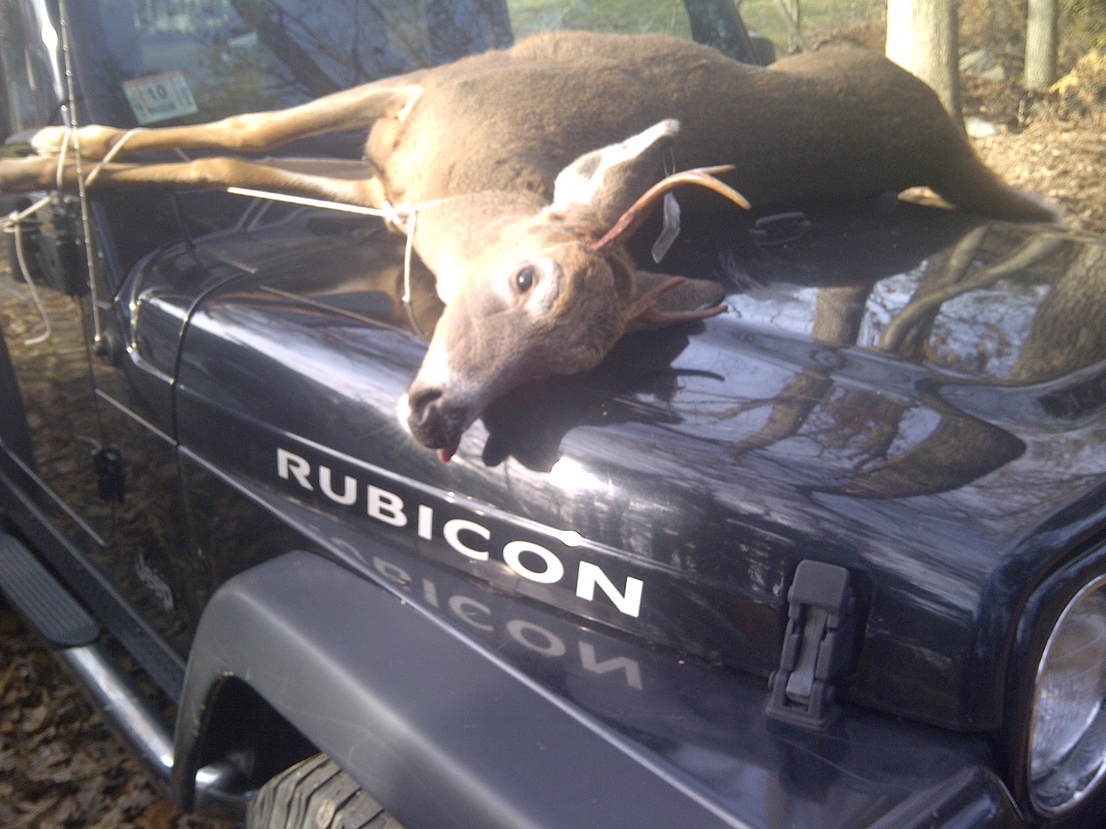 BowhuntMASS Bow Hunting Massachusetts Buck harvest