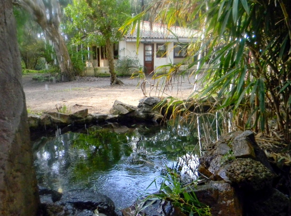 Museo y Archivo Histórico Municipal