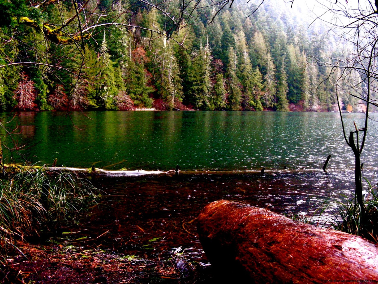 Vancouver Island British Columbia Vancouver Island British Columbia