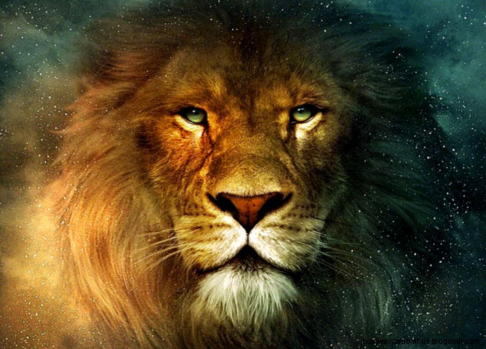lion desktop wallpaper hd Design Inspiration lion desktop wallpaper hd Design Inspiration