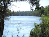 Murray river at Cobram