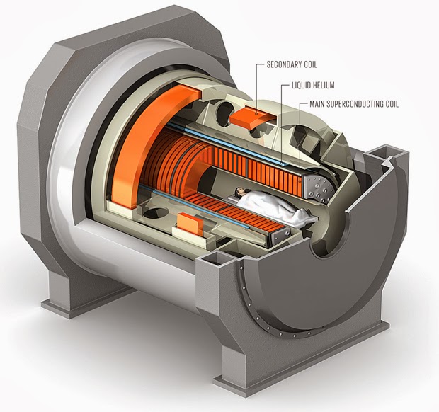 11.75 tesla MRI being built for 100 micron resolution every tenth of