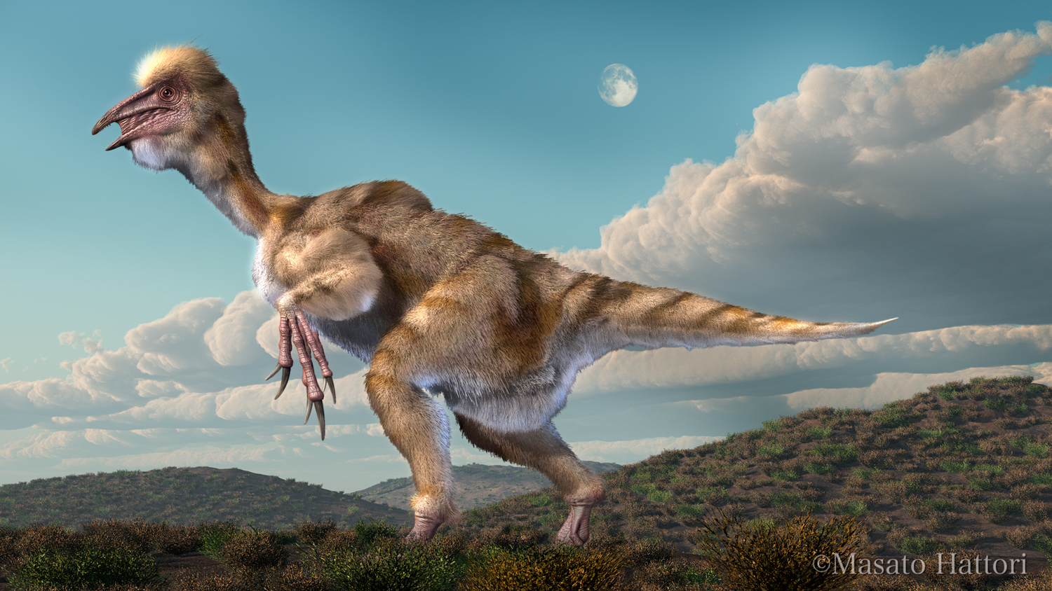 Beipiaosaurus_20120327_2.jpg