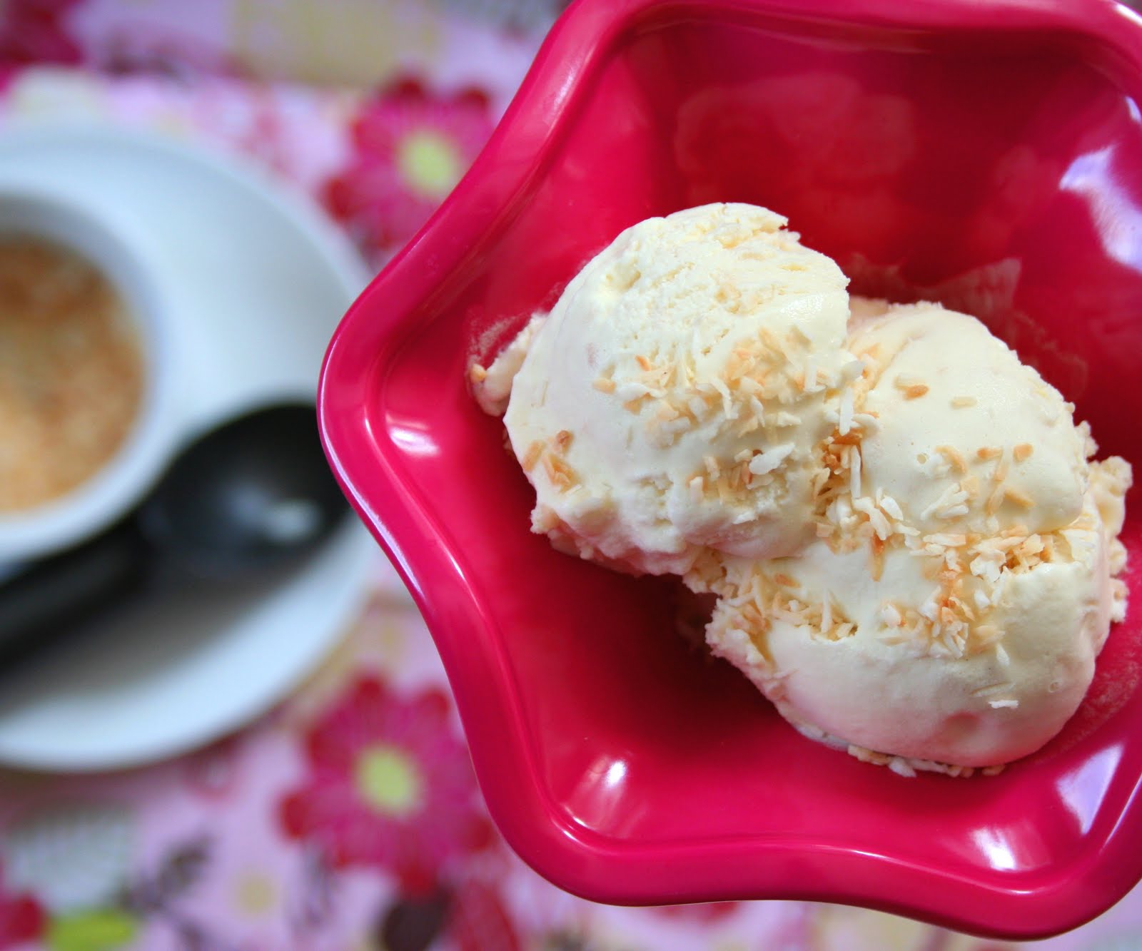 RumLaced Toasted Coconut Ice Cream (Low Carb and Gluten Free) All