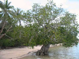 Brgy. Galicica, Batan Island