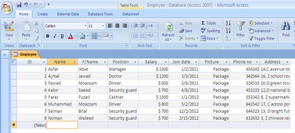what is a database give examples class 8