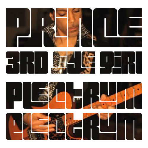 Plectrum_Electrum.jpg