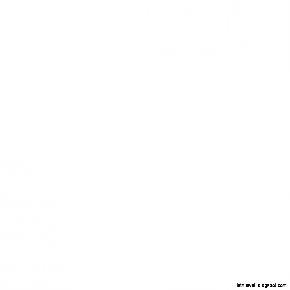white background Free Large Images white background Free Large Images
