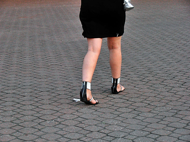 P9011334.JPG