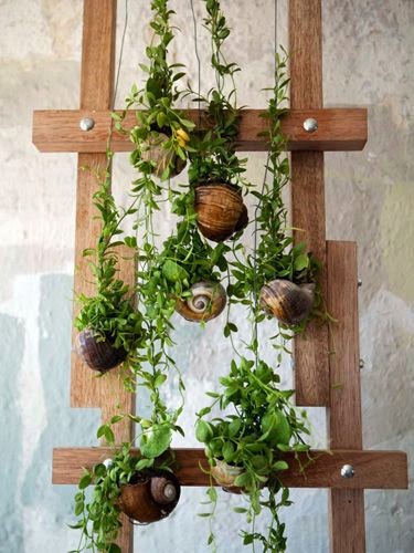 jardim vertical urbano:Um jardim para cuidar: Jardinar na cidadeé possivel ! jardim vertical urbano:Um jardim para cuidar: Jardinar na cidadeé possivel !