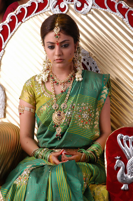 nisha agarwal new in traditional saree in solo glamour  images