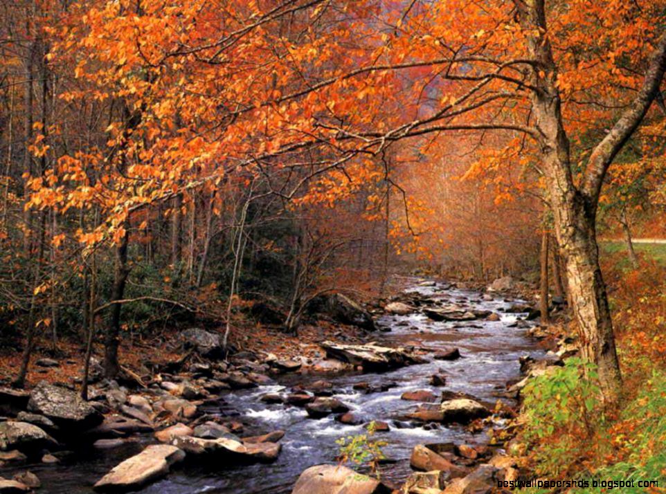 Fall Wallpaper For Computer Wallpapers High Definition Fall Wallpaper For Computer Wallpapers High Definition