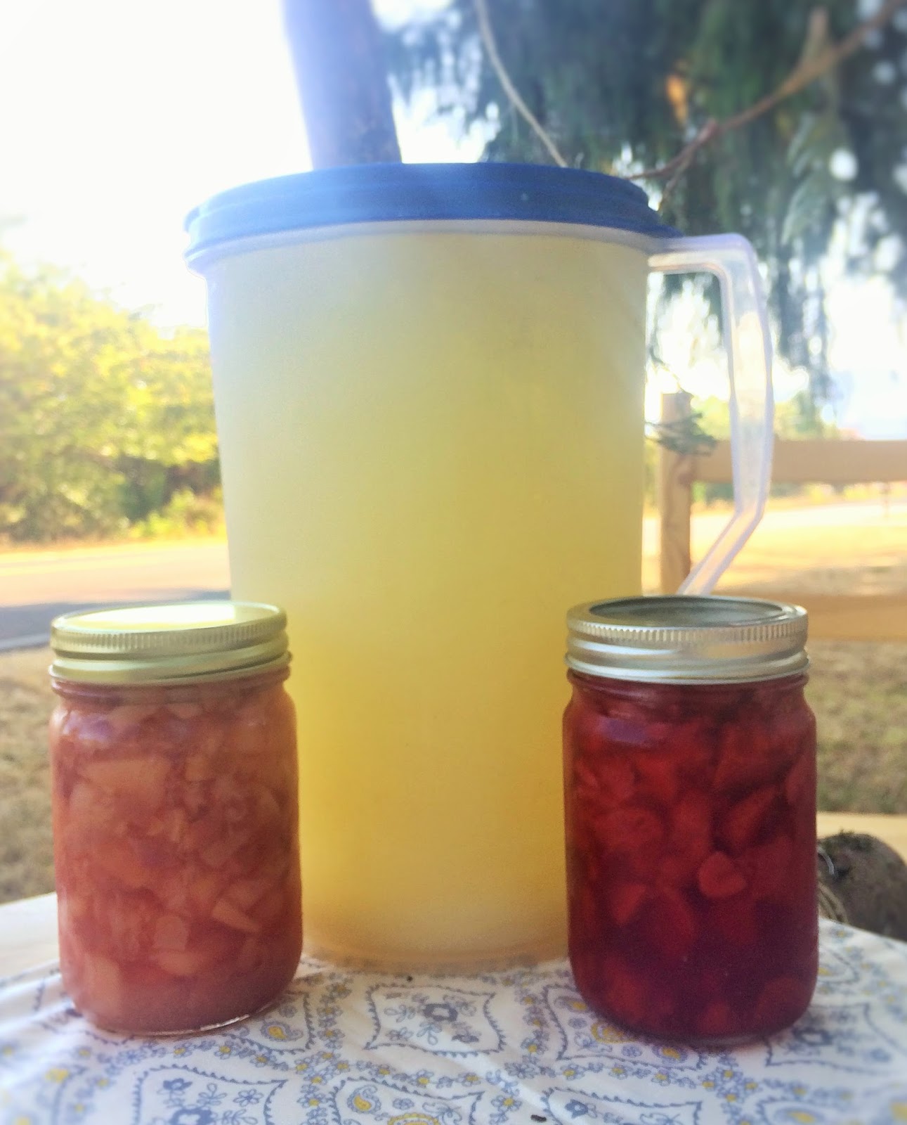 Grow Wild My Child Lovely, Effortless Lemonade (Plus Flavoring Syrups!)