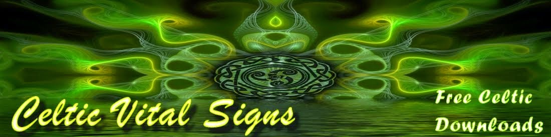 Celtic Vital Signs [Reels, Rhymes & Rebellion]