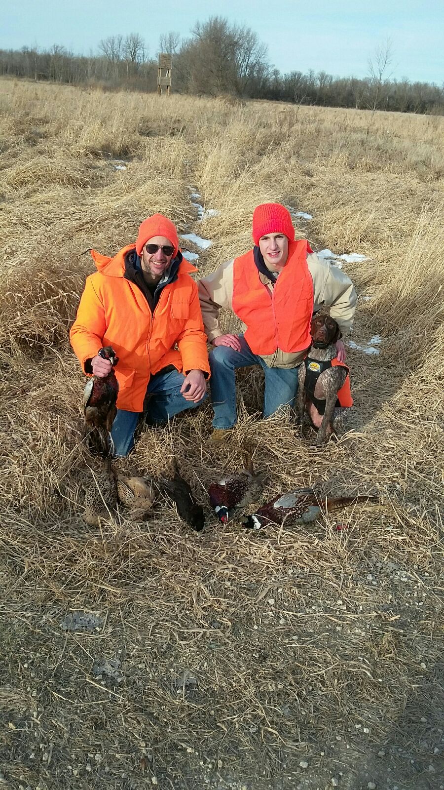 Guided hunt 1/8/17