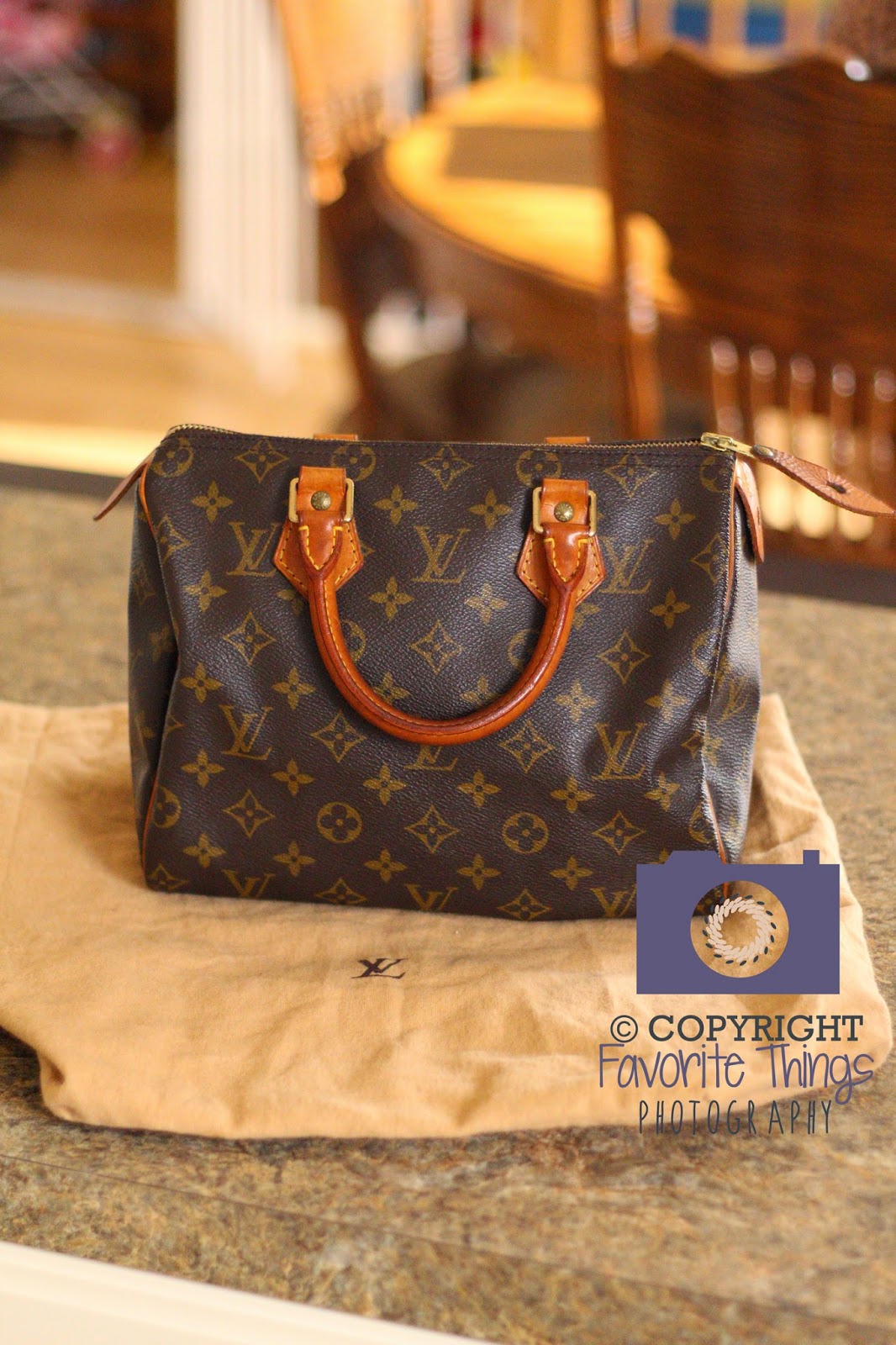 journeys with jax and oliver: My Louis Vuitton