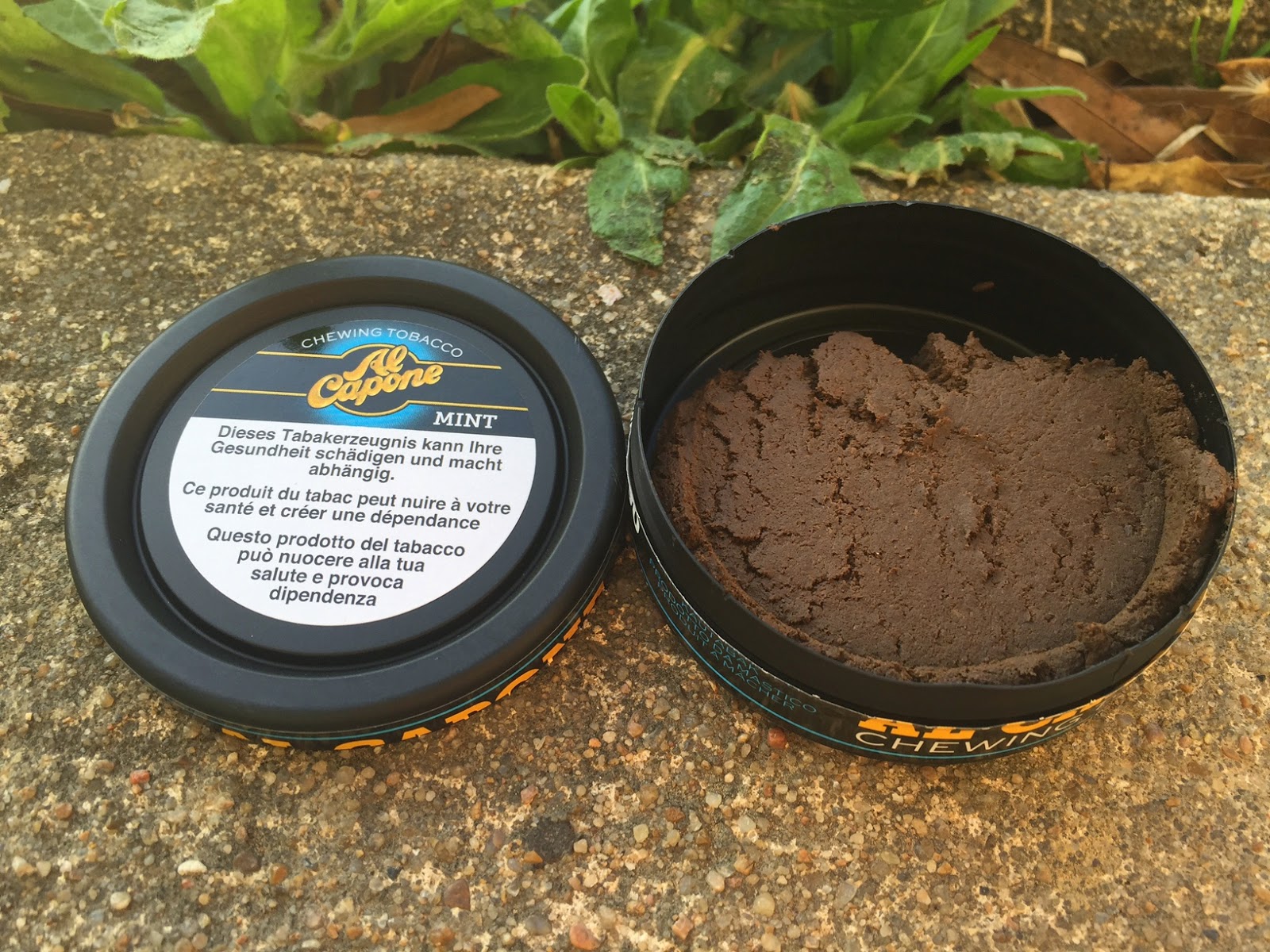 best dip tobacco