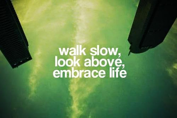 embrace life embrace life