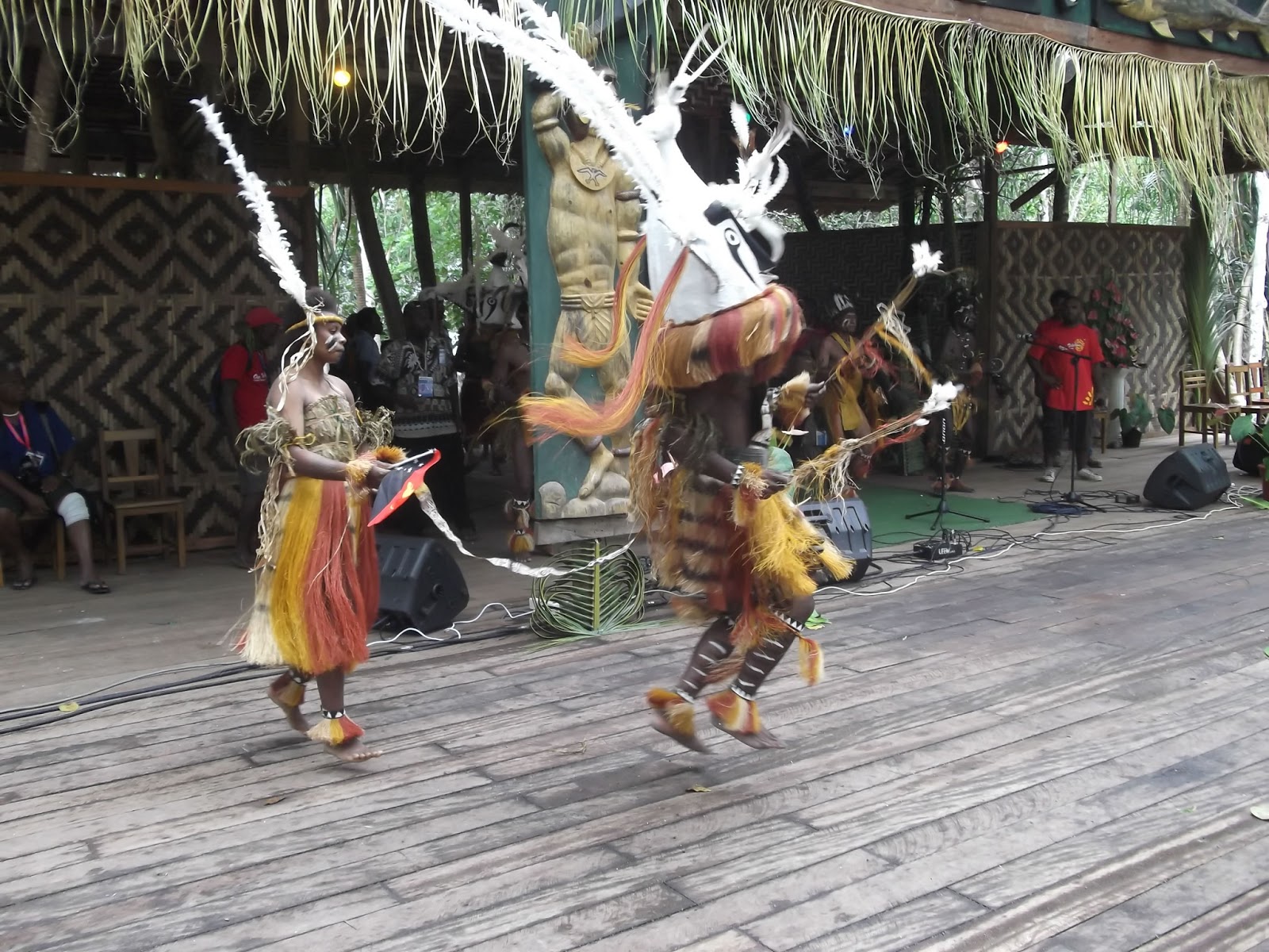 SINGSINGS IN PICTURES: Papua New Guinea Singsings In Picture