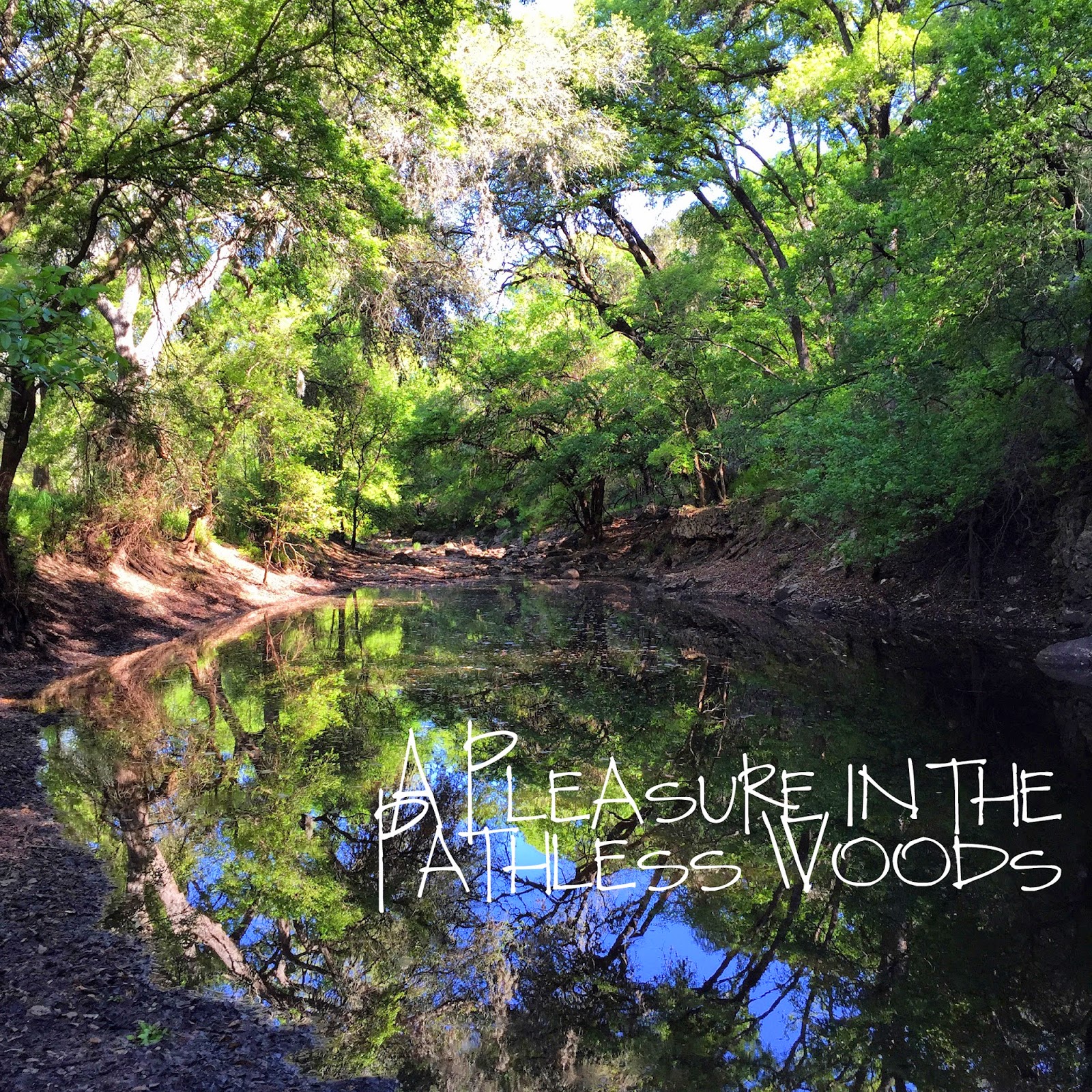 Notes from Maggie's Farm A Pleasure in the Pathless Woods Purgatory